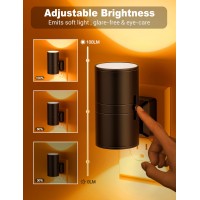 Amber Night Lights Plug Into Wall Dimmable Night Light Plug In Modern Night Lights Auto Onoff Amber Night Lights 2000K 010