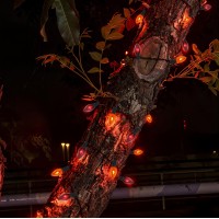 Halloween Decorations Lights Outdoor 25Ft C7 Halloween Orange Purple String Lights With 25 Flickering Flame Bulbs Connectable