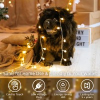 Wuxyiyang 120 Led String Lights 40Ft 8 Lighting Modes Plug In Fairy String Lights For Bedroom Classroom Patio Garden Wedding Pa