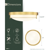 Cargifak 16 Inch Flush Mount Light Fixture 3Light Modern Ceiling Light With Polished Gold Finish For Hallway Kitchen Laundry B