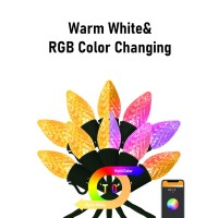 App Programmable 50 Led 55Ft Waterproof Rgb Color Changing C9 Led Christmas Lights Indoor Outdoor Extendable Dimmable Waterproo