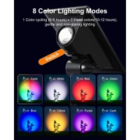 6 Pack Color Changing Solar Power Spot Lights For Halloween Decorations Skeletons Tombstones Ghost Outdoor Waterproof Led La