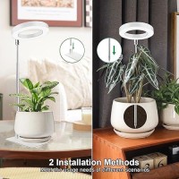 Grow Light Led Plant Light For Indoor Plants Growing Full Spectrum Desk Growth Lamp With Automatic Timer For 2H4H8H 4 Dimma