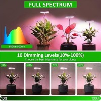 Grow Light Led Plant Light For Indoor Plants Growing Full Spectrum Desk Growth Lamp With Automatic Timer For 2H4H8H 4 Dimma