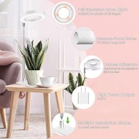 Grow Light Led Plant Light For Indoor Plants Growing Full Spectrum Desk Growth Lamp With Automatic Timer For 2H4H8H 4 Dimma