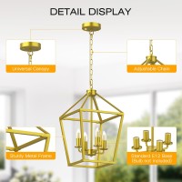 Sunwish Farmhouse Chandelier 4Light Gold Industrial Lantern Ceiling Light Fixtures For Dining Room Metal Cage Adjustable Heig