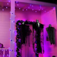 Halloween Decorations Eyeball String Lights 30 Led Battery Operated Globe String Lights With 8 Modes Twinkle Purple Lights Fo