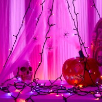 Flechllary Halloween 100 Led String Lights 39Ft String Lights With 8 Modestimer Function Purple And Orange Halloween Lights Pl