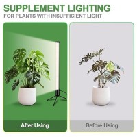 Weeleegoo T10 Standing Grow Light 6000K Full Spectrum Tabletop Plant Light 189 Hangable Or Standing With 3Mode 5 Dimmable