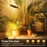 2Pack Rechargeable Spot Lights Indoor Wireless Uplighting Indoor With Remote Control Timerdimmable For Plants 3Cct Led Spotli