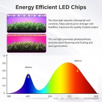 Ipower 40W Led Plant Grow Light Strips Full Spectrum For Indoor Plants With Auto Onoff 3912H Timer 10 Dimmable Levels 48 Led