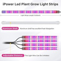 Ipower 60W Led Grow Lights With Full Spectrum Plant Growing Light Strips For Indoor Plant With Auto Onoff 3912H Timer 10 Dim