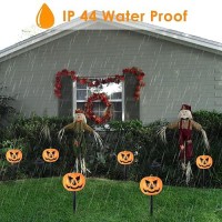 Maoyue Timer Waterproof 6 Pack Halloween Decorations Outdoor Halloween Lights With Timer Waterproof Pumpkin Lights Battery