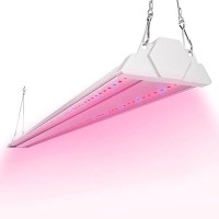 Freelicht 1 Pack 4Ft Led Grow Light 60W 350W Equivalent Red Blue 660Nm460Nm Full Spectrum Grow Lights For Indoor Plants