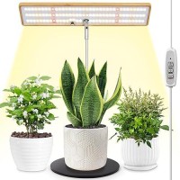 Lordem Grow Lights For Indoor Plants Bamboo Full Spectrum Plant Lights For Indoor Growing Height Adjustable Desk Top Growing L