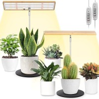 Lordem Grow Lights For Indoor Plants Full Spectrum Bamboo Plant Lights For Indoor Growing Table Top Grow Light With Auto Onof