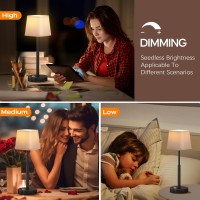 Qimh Battery Operated Led Table Lamp 6000Mah Waterproof Cordless Desk Lamp With 3 Level Brightness Touch Control Mini Recharge