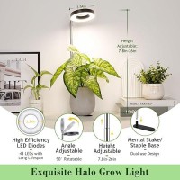 Lordem Plant Grow Light Full Spectrum Led Plant Light For Indoor Plants Desk Grow Lamp With Auto Onoff Timer 4812H 4 Dimma