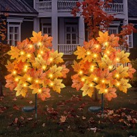 Torontokyo 2 Pack Fall Solar Outdoor Lights Fall Decor 40 Led Maple Leaves Solar Stake Light With 8 Modes Waterproof Fall Gard