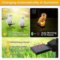 Owl Solar Lights Outdoor Garden Solar Garden Lights 2 Packs Solar Owl Lights Waterproof Solar Outdoor Lights With Stake Maint