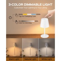 Jackyled Cordless Table Lamps Rechargeable 3 Adjustable Height 5000Mah Battery Operated 3 Colors Smooth Dimming Portable Led