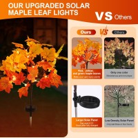 Neoclassy 2 Pack Solar Fall Lights For Outside Fall D Cor 40Led With Maple Leaf Solar Stake Lights Outdoor Waterproof Fall Li