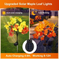 Neoclassy 2 Pack Solar Fall Lights For Outside Fall D Cor 40Led With Maple Leaf Solar Stake Lights Outdoor Waterproof Fall Li