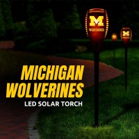 Michigan Led Solar Torch 4 X 4 X 36 Waterproof Sun Damage Resistant Solar Light With Flickering Flame Decor For Patio