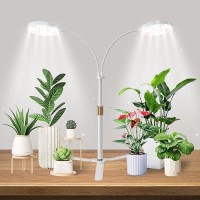 Grow Light Dual Ring 35 With Base 122 Leds 6000K White Full Spectrum Gooseneck Plant Lamp For Indoor Desk Plants Dimmable