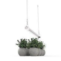 Apicdom Led Grow Light 2Ft Full Spectrum Compact Slim Linkable Indoor Plant Lighting Fixture Essential Grow Slim Hanging Suspend