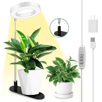 Lordem Plant Grow Light Full Spectrum Halo Desk Plant Light Height Adjustable 7826 Led Growing Lamp Automatic Timer 4H