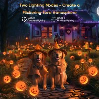 Halloween Decorations Solar Lights Outdoor 6 Pack 48 Led Pumpkin Solar Halloween Lights Orange Halloween Lights For Garden Law