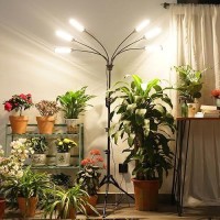 Grow Lights For Indoor Plants Aukphie Full Spectrum Led Grow Light With Stand Auto Onoff Timing 369121518H 10 Brightne