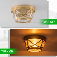 Flush Mount Ceiling Light Fixture Gold 2Light Modern Farmhouse Porch Light Ceiling Mount For Outdoor Indoor Flush Mount Light