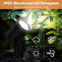 Zyan 4 Pack Landscape Spotlights With Power Supply 6W 600 Lumen Per Light 2700K Ip65 Waterproof