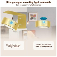 Ttq 4Pcs Magnetic Picture Lights Batteries Operated Painting Light With Remote And Dimmable Timer Gold Art Display Light Wireles