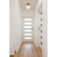 Eclipse 1 Light Brass Flush Mount With Frosted White Glass