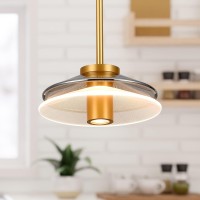 100277V 1Light Integrated Led Black Height Adjustable Pendant Lighting