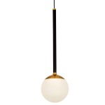 1Light Integrated Led Height Adjustable Pendant Lighting